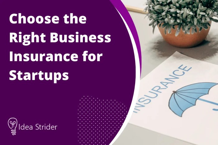 Choose the Right Business Insurance for Startups - Idea Strider